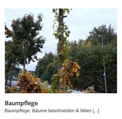 Baumpflege 